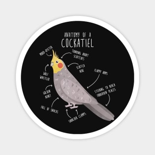 Cockatiel Anatomy Magnet